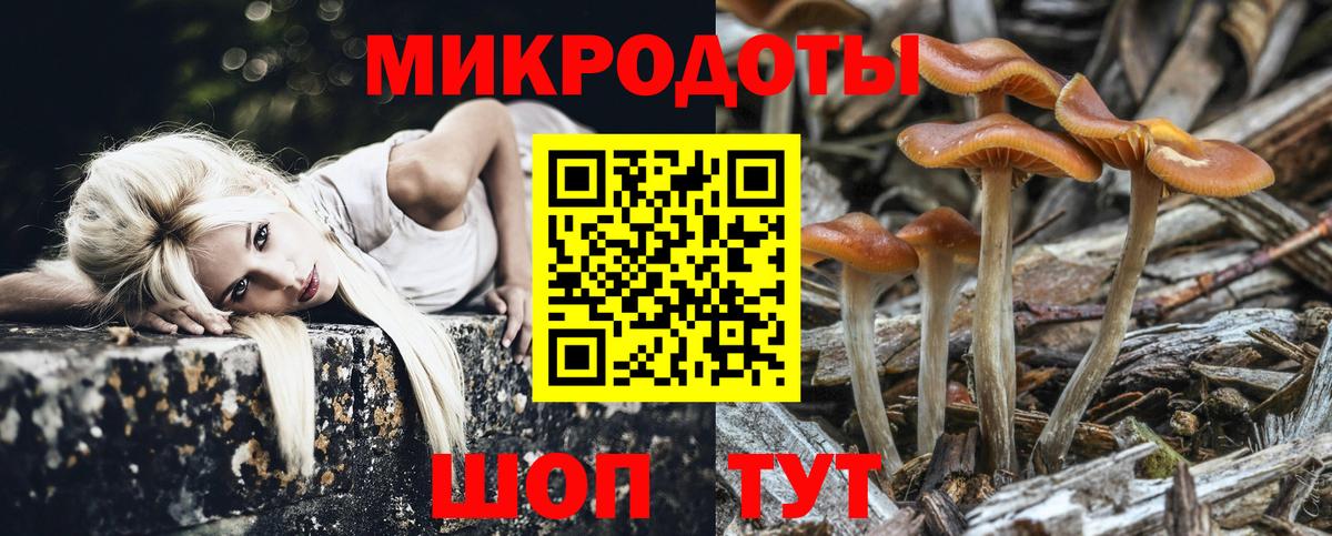 Галлюциногенные грибы мухоморы Соликамск